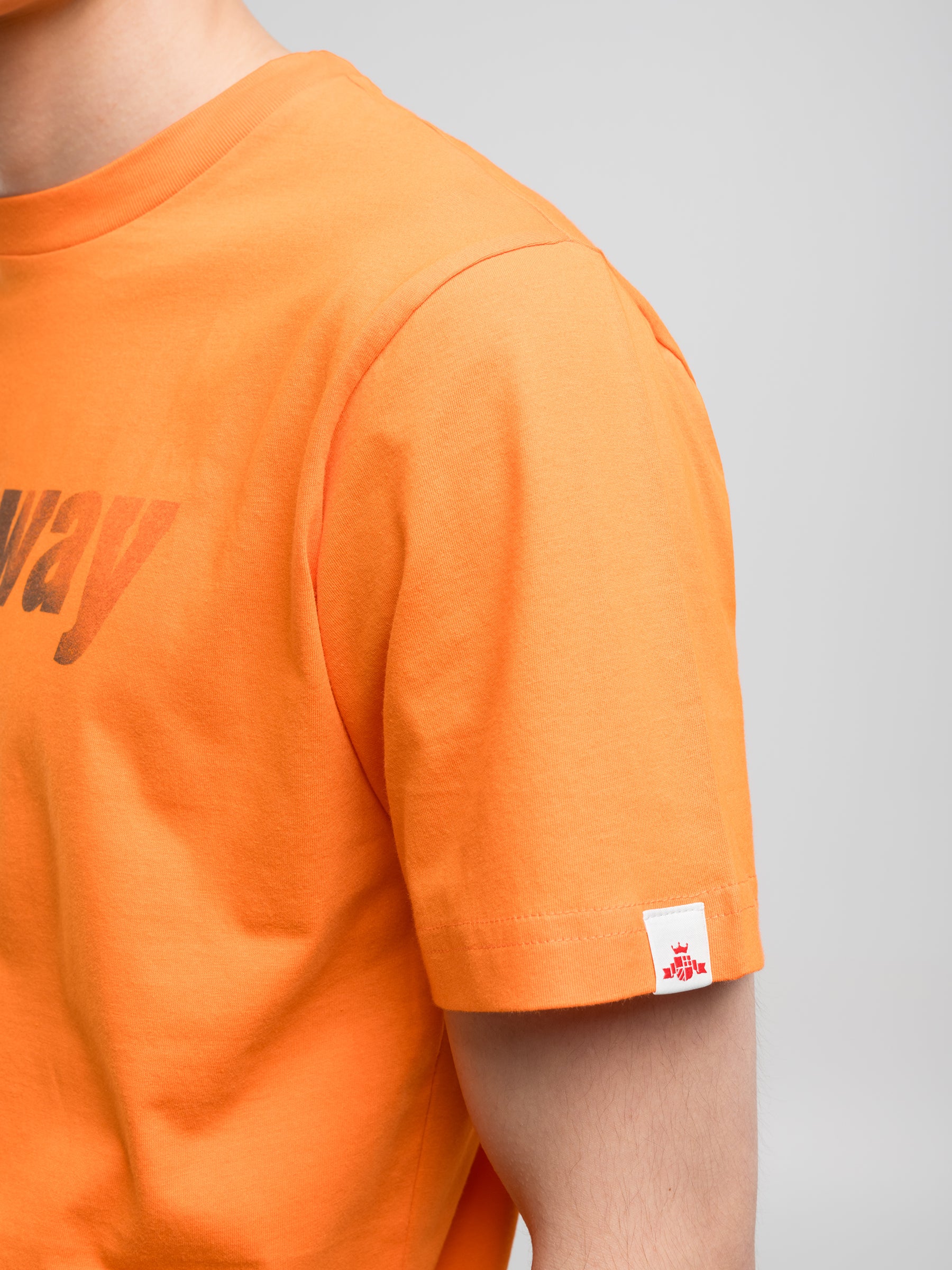 Vyriški marškinėliai M3035 .000.2660 Replay