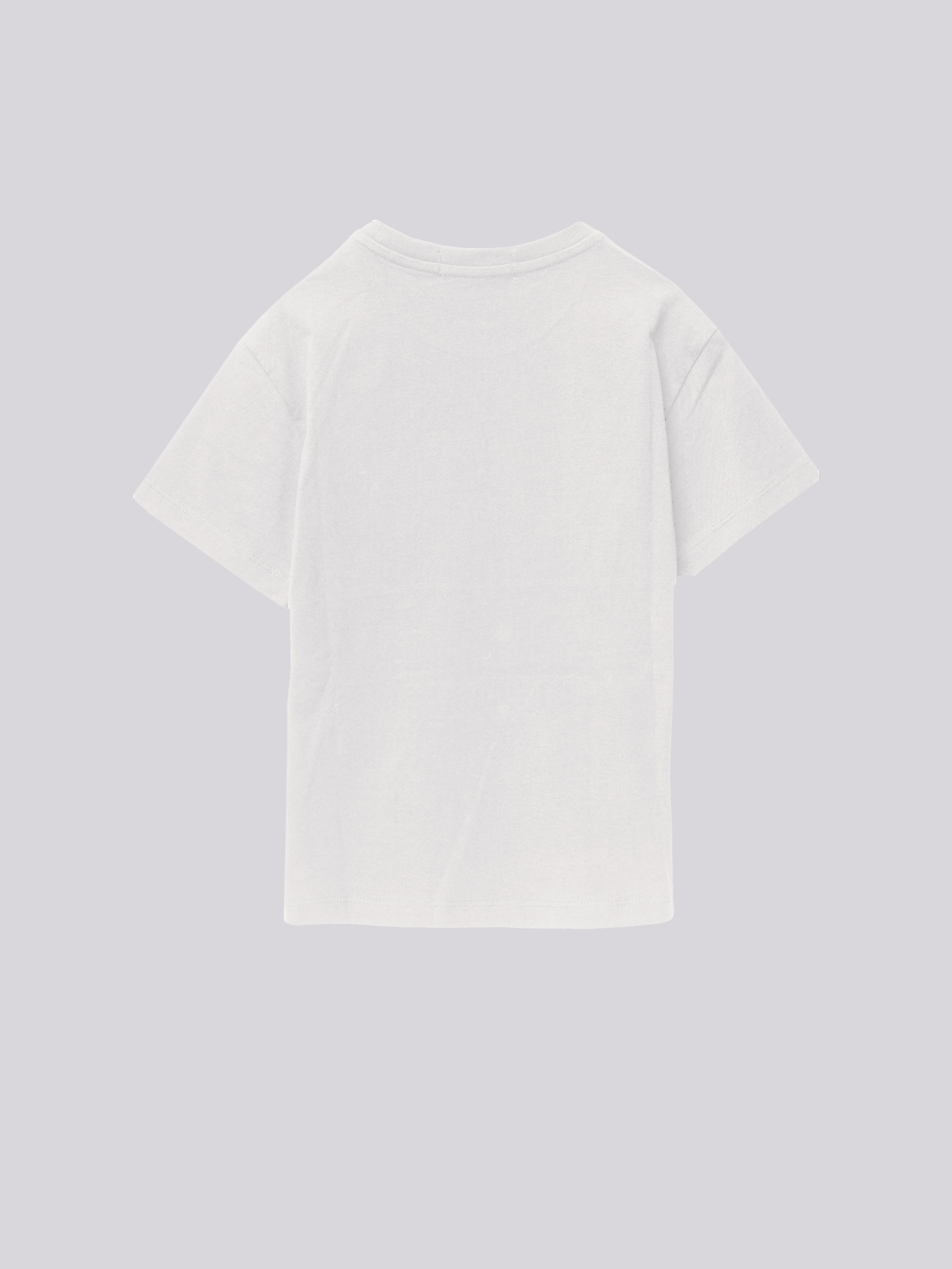 Marškinėliai berniukams SB7401.062.23700 Replay