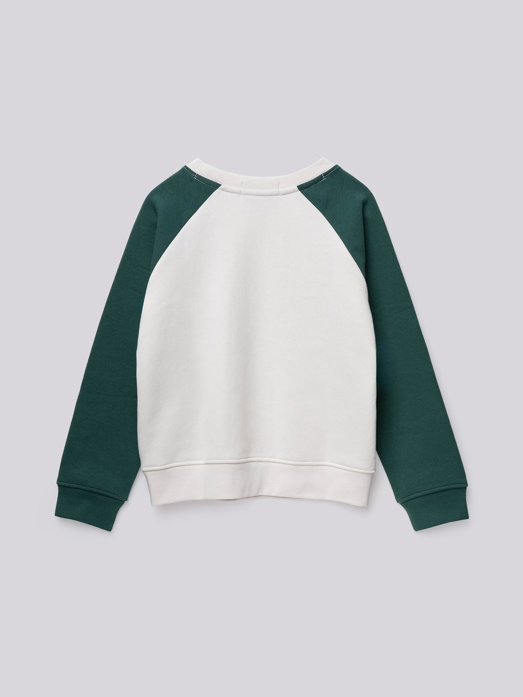 Berniukiškas džemperis SB2068.050.23706 Replay