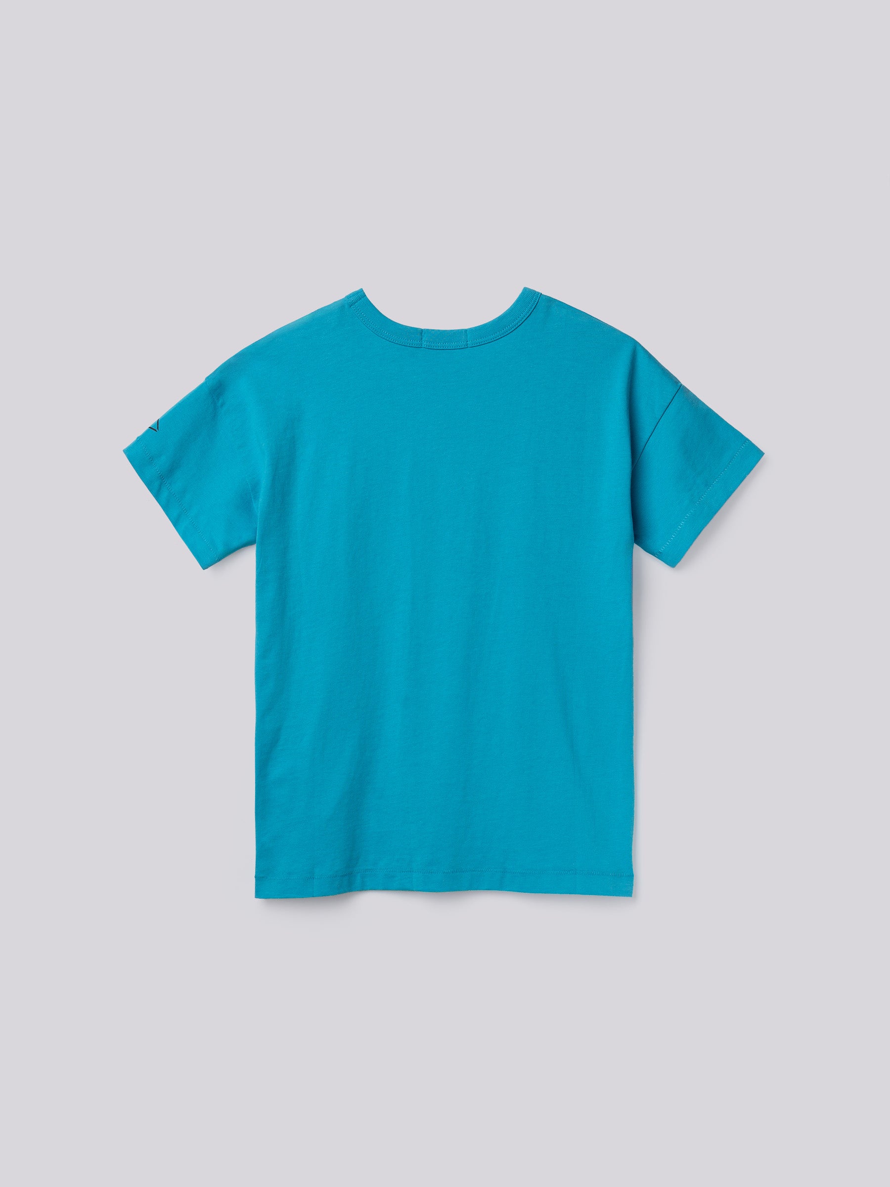 Berniukiški marškinėliai SB7349.051.2660 Replay