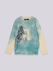 SB5073.050.G23528 Megztinis